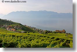 images/Europe/Switzerland/Montreaux/Villette/vineyards-town-n-lake-03.jpg