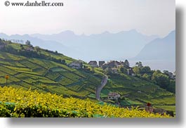 images/Europe/Switzerland/Montreaux/Villette/vineyards-town-n-lake-05.jpg
