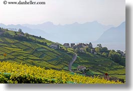 europe, horizontal, lakes, montreaux, switzerland, towns, villette, vineyards, photograph