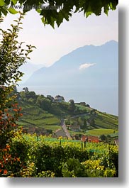 europe, lakes, montreaux, switzerland, towns, vertical, villette, vineyards, photograph