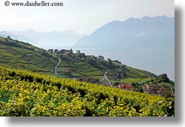 europe, horizontal, lakes, montreaux, switzerland, towns, villette, vineyards, photograph