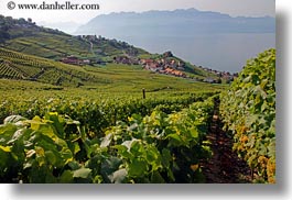 images/Europe/Switzerland/Montreaux/Villette/vineyards-town-n-lake-08.jpg