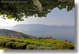 images/Europe/Switzerland/Montreaux/Villette/vineyards-town-n-lake-10.jpg