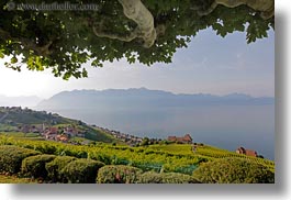 europe, horizontal, lakes, montreaux, switzerland, towns, villette, vineyards, photograph