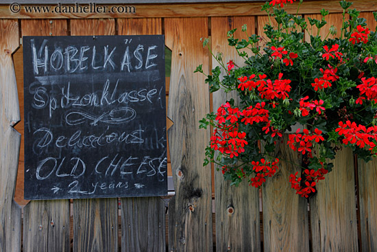 cheese-sign-n-geraniums-01.jpg