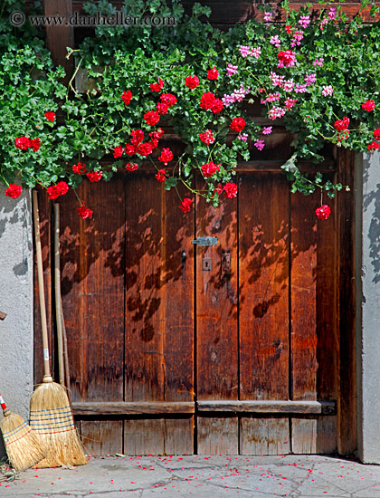 door-flowers-n-brooms.jpg