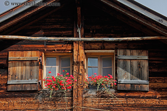 geraniums-n-windows.jpg