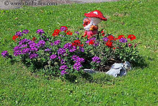 gnome-n-flowers.jpg