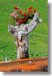 europe, flowers, fountains, murren, stumps, switzerland, trees, vertical, photograph