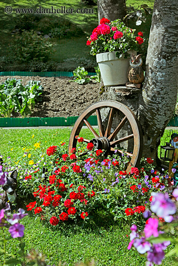 wagon-wheel-n-flowers-02.jpg