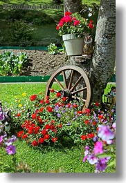 europe, flowers, murren, switzerland, vertical, wagons, wheels, photograph