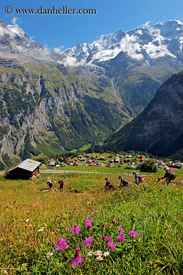 flowers-n-hikers-n-mtns.jpg