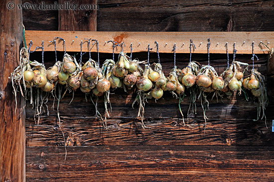 hanging-onions.jpg