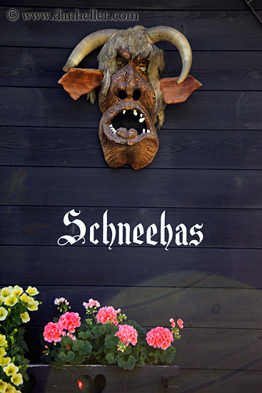 schneebas-mask-n-flowers.jpg