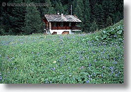 europe, horizontal, scenics, switzerland, photograph