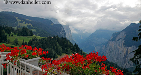 balcony-flowers-n-canyon-view-01.jpg