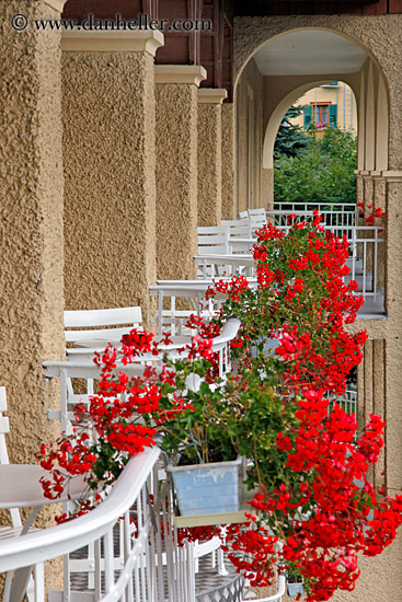 balcony-n-flowers.jpg