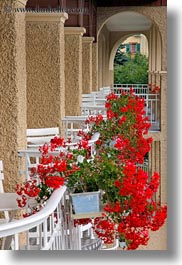 balconies, europe, flowers, geraniums, meyers hotel, nature, switzerland, vertical, wengen, photograph
