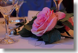 europe, horizontal, meyers hotel, pink, roses, switzerland, wengen, photograph