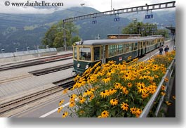 europe, flowers, horizontal, switzerland, trains, wengen, photograph