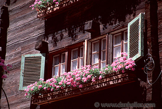 flowery-window.jpg