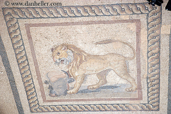 lion-mosaic.jpg