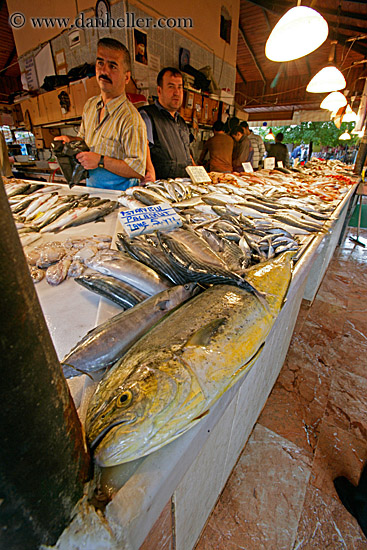 fish-market.jpg