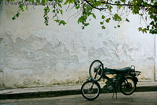 motorcycle-n-leaves.jpg