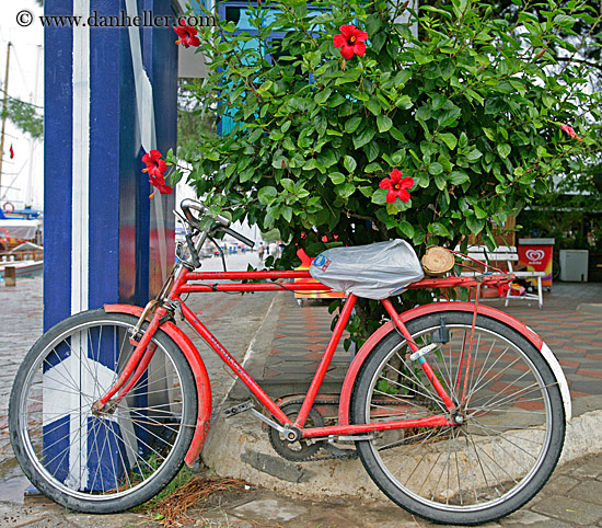 red-bike-n-hibiscus.jpg