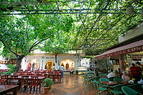 tree-shaded-cafe.jpg
