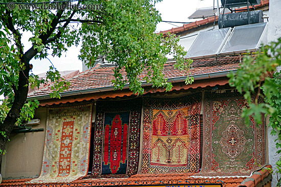 turkish-rugs-n-tree.jpg