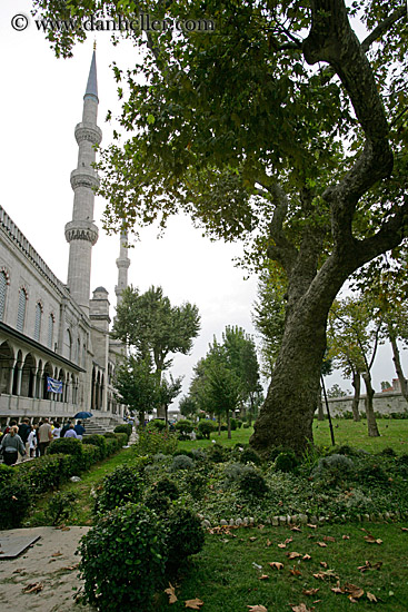 mosque-garden.jpg