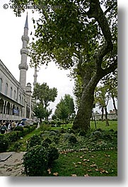 blue mosque, europe, gardens, istanbul, mosques, religious, turkeys, vertical, photograph