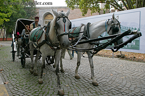horse-drawn-carriage.jpg