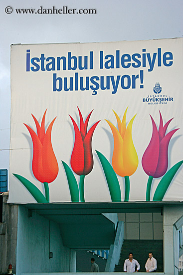 tulips-sign-2.jpg