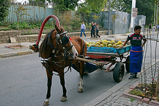 horse-n-food-cart-n-man.jpg