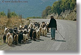 europe, goats, horizontal, kalkan, men, turkeys, walking, photograph