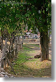 europe, fences, kalkan, trees, turkeys, vertical, photograph