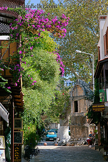 cobblestone-street-n-bougainvillea.jpg