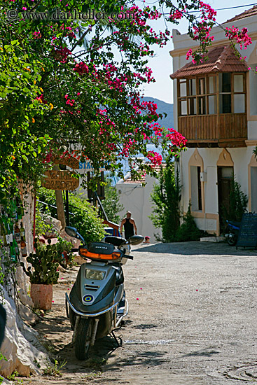 motorcycle-n-bougainvillea-1.jpg