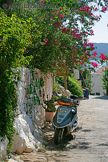 motorcycle-n-bougainvillea-2.jpg