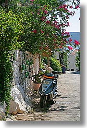bougainvilleas, europe, flowers, kas, motorcycles, turkeys, vertical, photograph