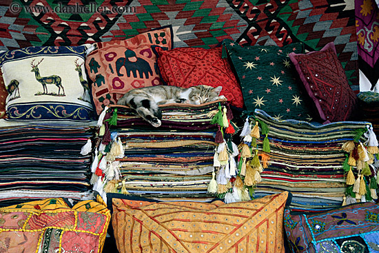 sleeping-cat-on-rugs-3.jpg