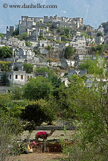 hilltop-village-n-camel.jpg