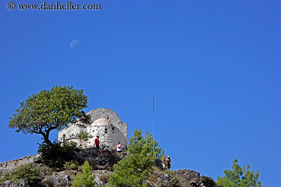 moon-tree-n-building-2.jpg