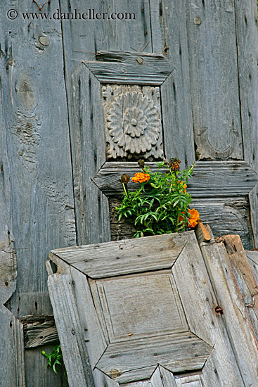 old-wood-door-n-flowers.jpg