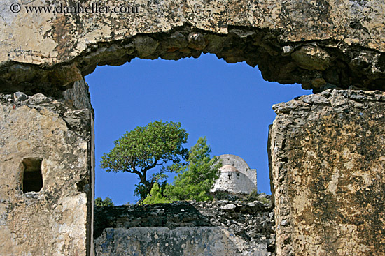 tree-n-bldg-thru-ruins.jpg