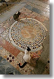 arts, cats, churches, europe, mosaics, myra, st nicholas, stones, turkeys, vertical, photograph