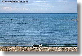 beaches, cats, europe, horizontal, phaselis, turkeys, photograph