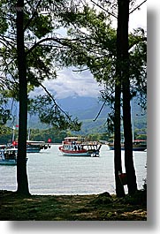 images/Europe/Turkey/Phaselis/harbor-through-trees.jpg